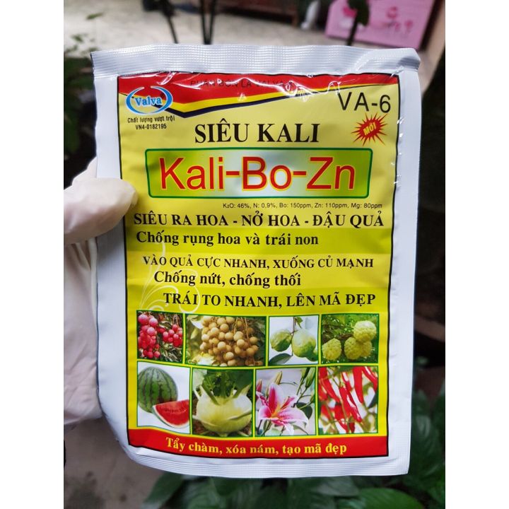 Siêu kali Kali-Bo-Zn siêu ra hoa, nở hoa, đậu quả
