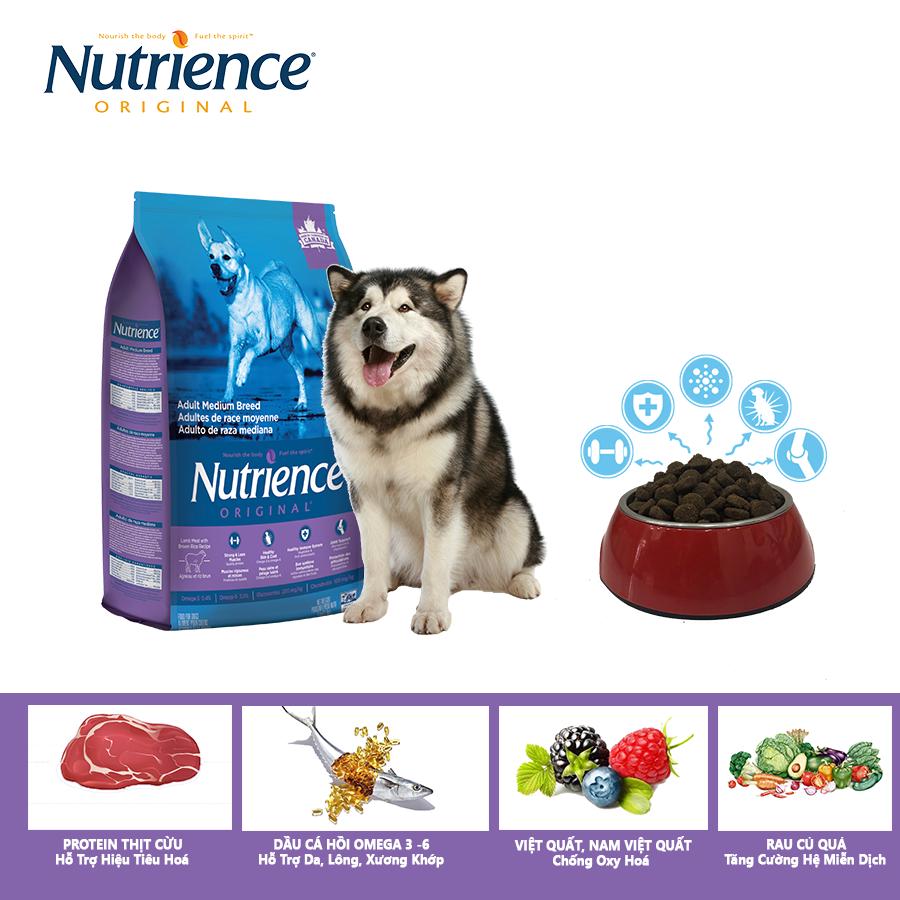Thức ăn cho chó alaska nutrience original - thịt cừu, rau củ và trái cây tự nhiên