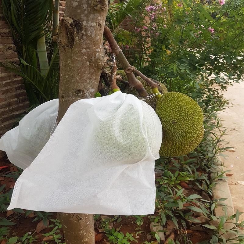 Túi bọc vải có dây rút 50X70cm túi bọc mít, sầu riêng,....