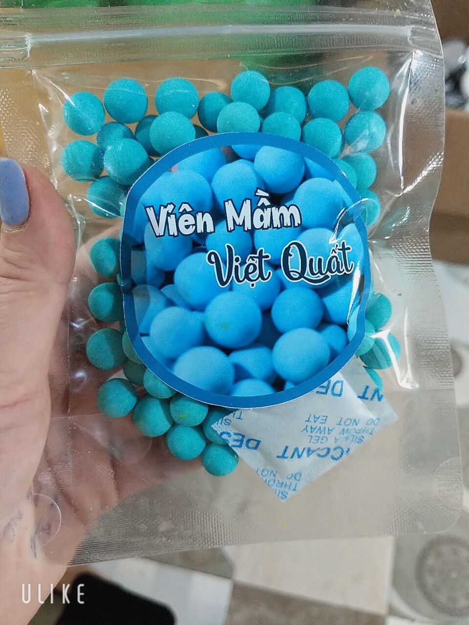 [HCM]Viên mầm đậu nành Việt quất - 100gr Viên mầm việt quất - kẹo mầm việt quất tăng size vòng 1.
