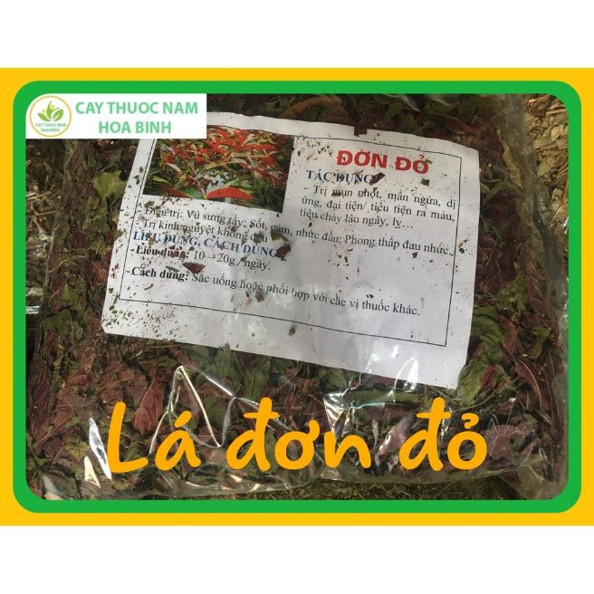 1kg Lá đơn đỏ (khô sạch)