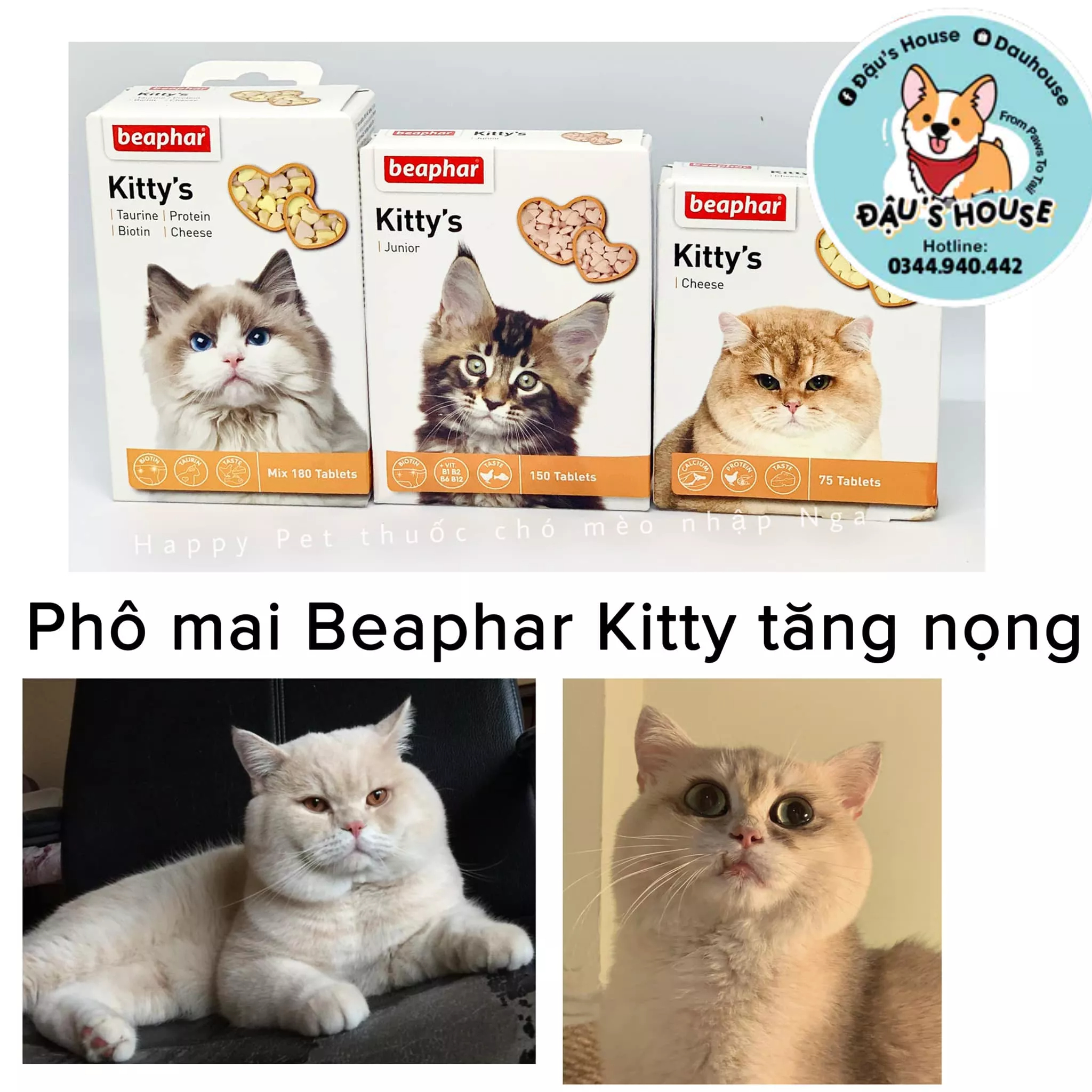 Phô mai tăng nọng cho mèo BEAPHAR Kitty's Cheese 75v-vitamin tăng nọng mặt cho mèo-Nhập Đức