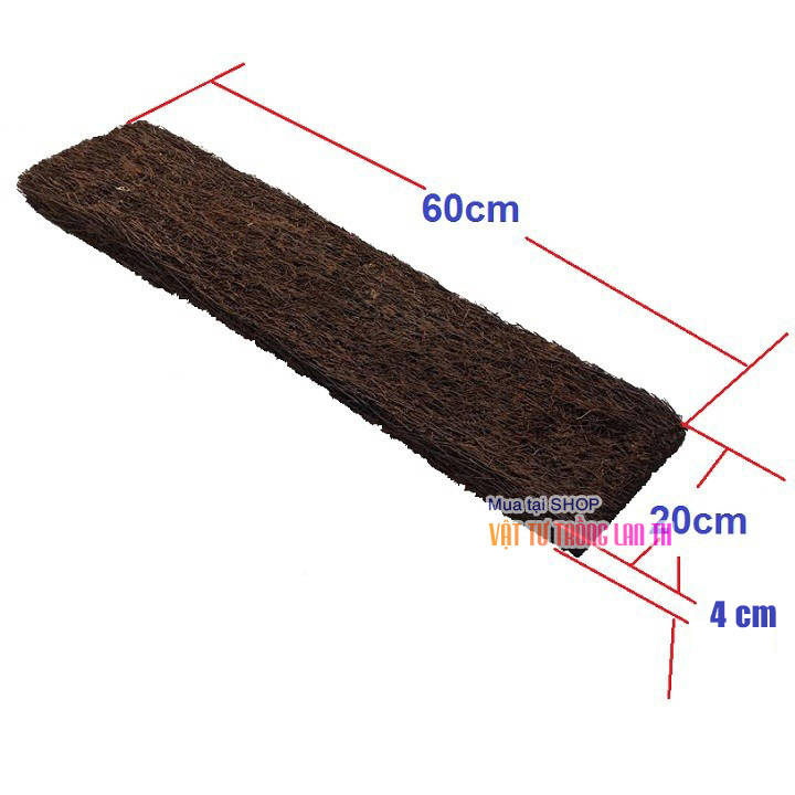 Bảng dớn trồng Lan kích thước 60x20x4cm