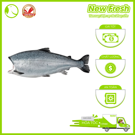 [HỎA TỐC HCM] Cá Hồi Chile Nguyên Con Không Đầu 1 con ~ 4-4.5 KG/ ~5-6KG