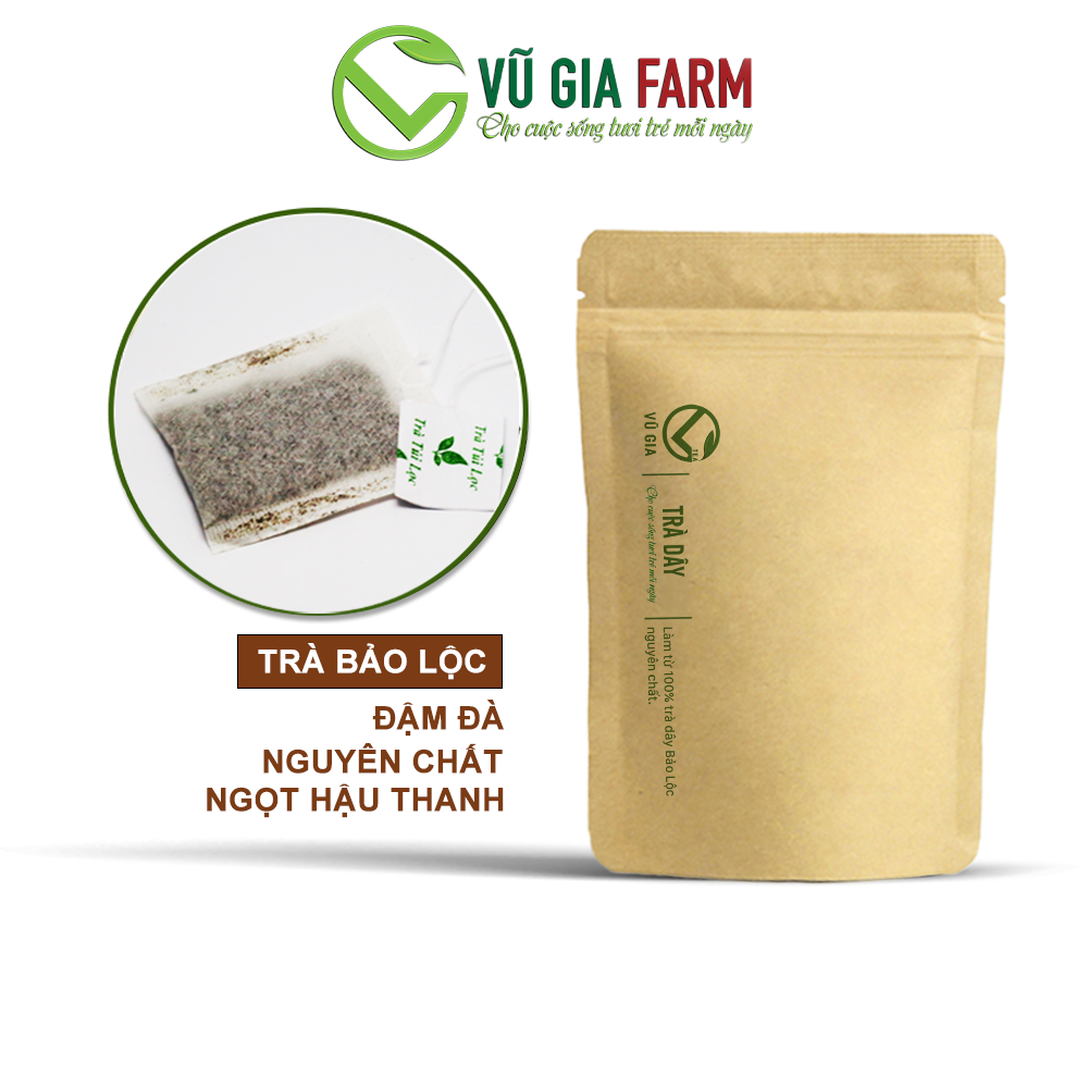 Trà Dây Túi Lọc Nguyên Chất Vũ Gia - Hỗ trợ dạ dày tiêu hóa, diệt vi khuẩn HP dạ dày, giảm cân an toàn, ngủ ngon , giảm stress hiệu quả - Đã được kiểm nghiệm y tế