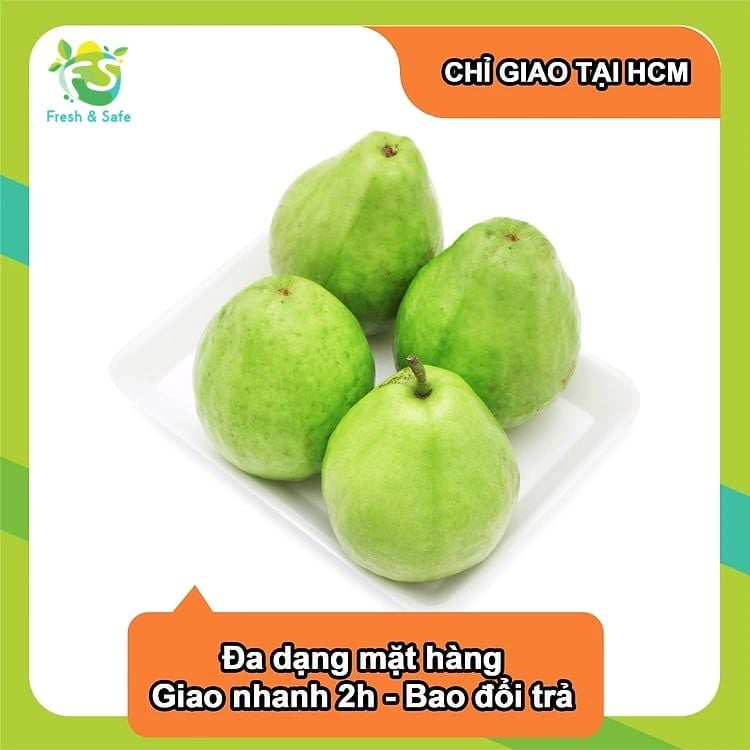 [Chỉ Giao HCM] Ổi có hạt/Ổi lê/Ổi Đài Loan - 3kg (sỉ)