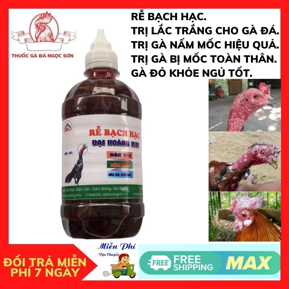 Rễ bạch hạc nấm mốc gà chọi lác trắng cho gà đá hiệu qủa.không ảnh hưởng gà.