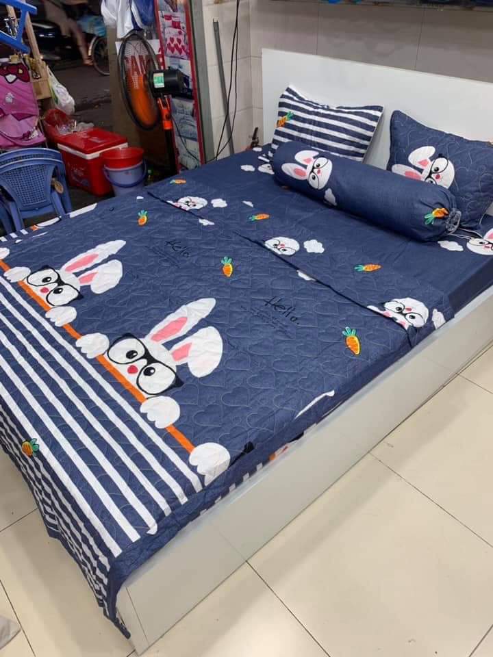 Bộ chăn ga vỏ gối 5 món thỏ đeo kính 1m6x2m.