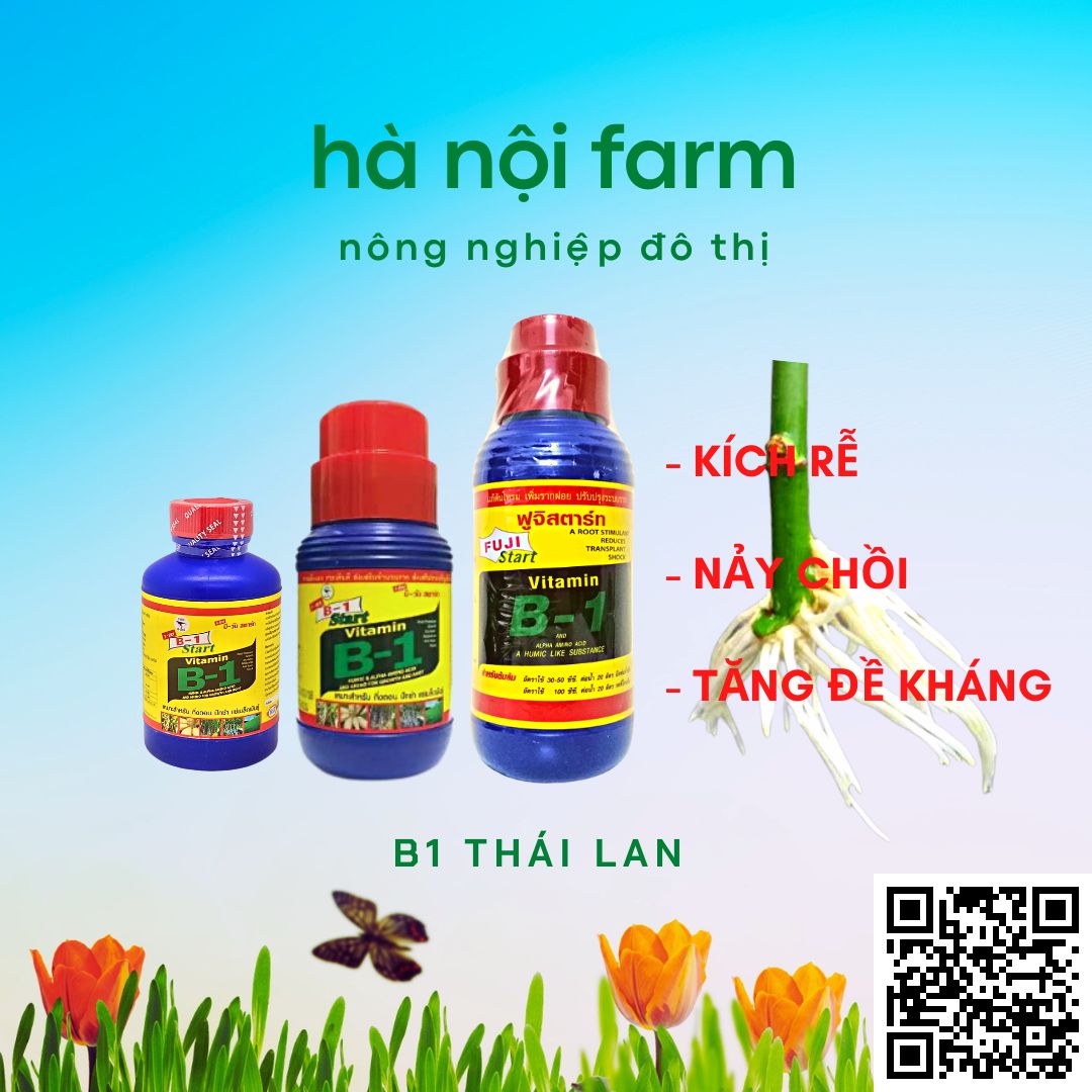 B1 thái xanh 100ml, phân bón lá nhập khẩu thailand