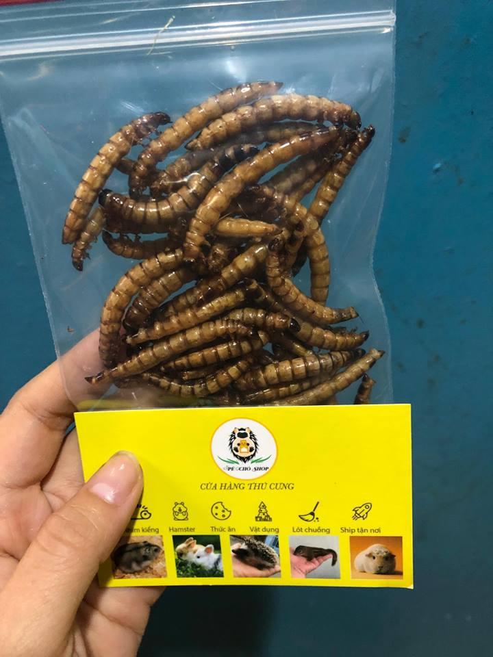 Sâu SUPPER WORM Bịch nhỏ dùng thử, đặc biệt BAO TO ,Cực Kỳ Thơm ,RANG tại NHÀ ,con nào cũng MÊ !!!