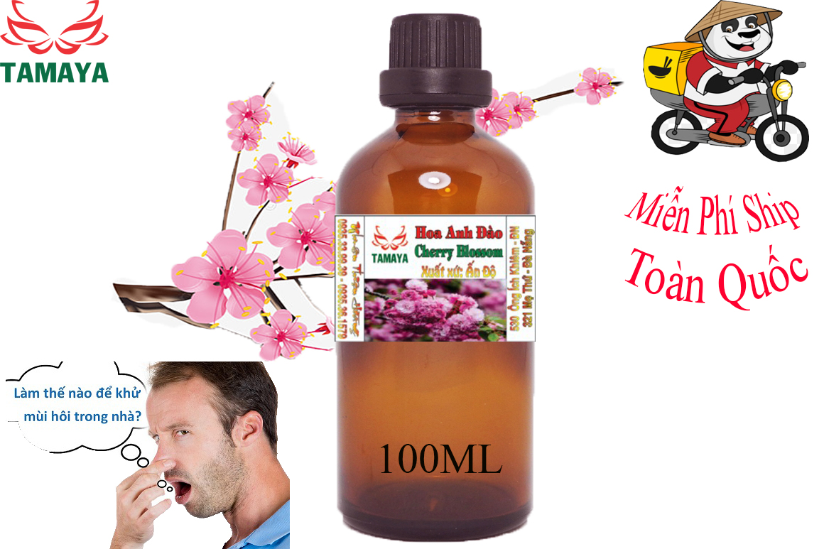 Tinh dầu hoa anh đào loại lớn thể tích 100 ml xông phòng khử mùi thơm dịu nhẹ