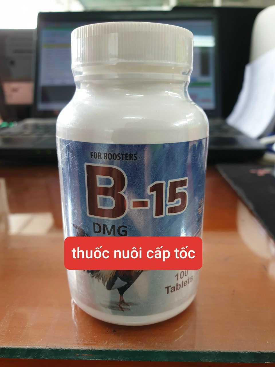 B15 cho gà đá đủ pin cấp tốc hộp chiếc lẽ 50 viên và 100 viên