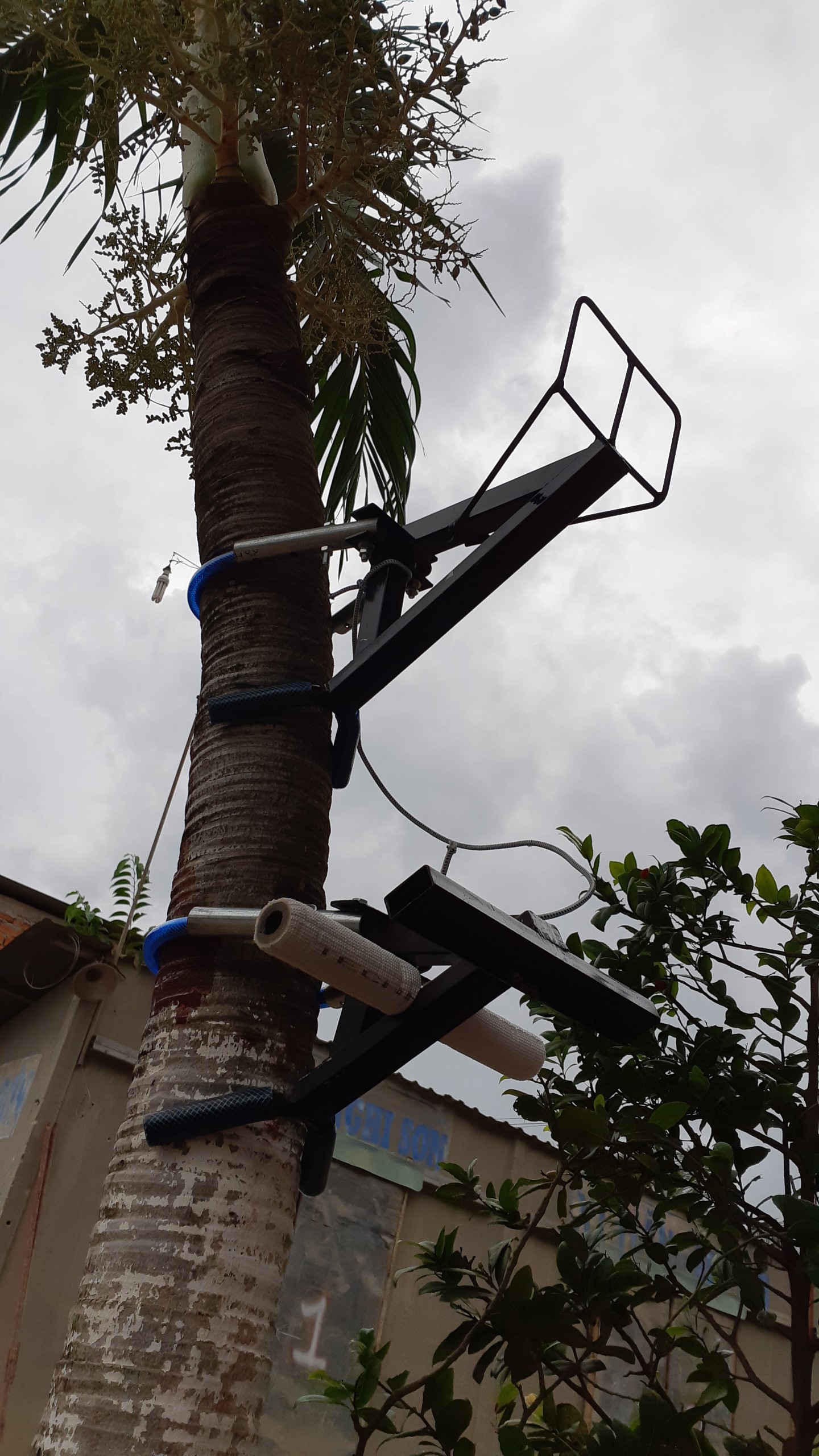 DỤNG CỤ LEO CAU, LEO CỘT SẮT TRÒN - DỤNG CỤ LEO CAU, LEO CỘT SẮT TRÒN