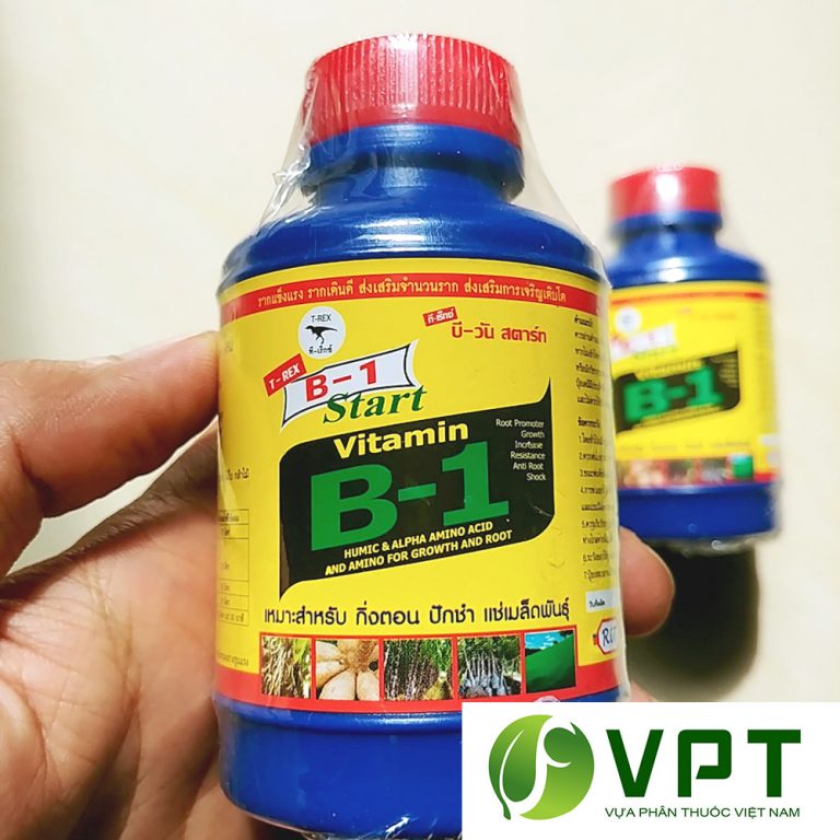 VITAMIN B1 THÁI LAN - PHÂN BÓN LÁ SIÊU KÍCH RỄ, Giảm bớt độc tố có hại cho lan,mai kiểng hiệu quả