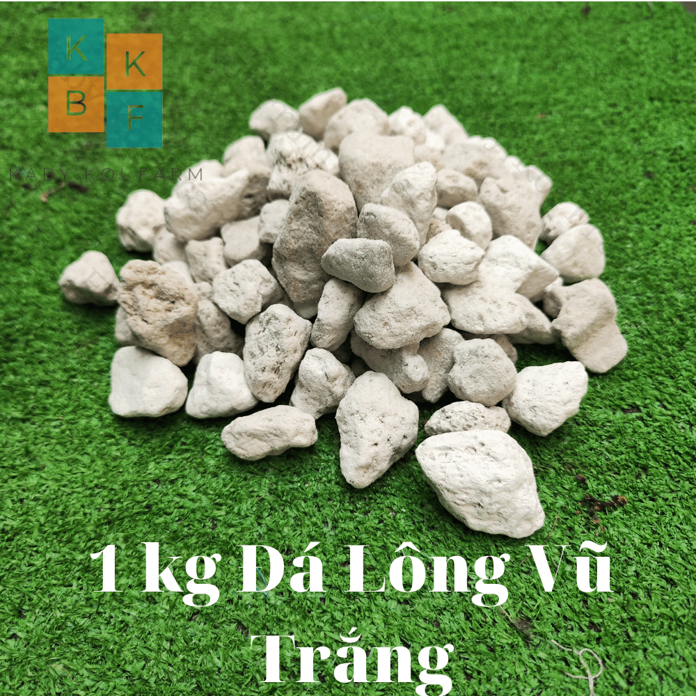 Nham thạch trắng Turkey 1Kg Đá lông vũ Thổ 2-4cm đá Pumice lọc hồ cá