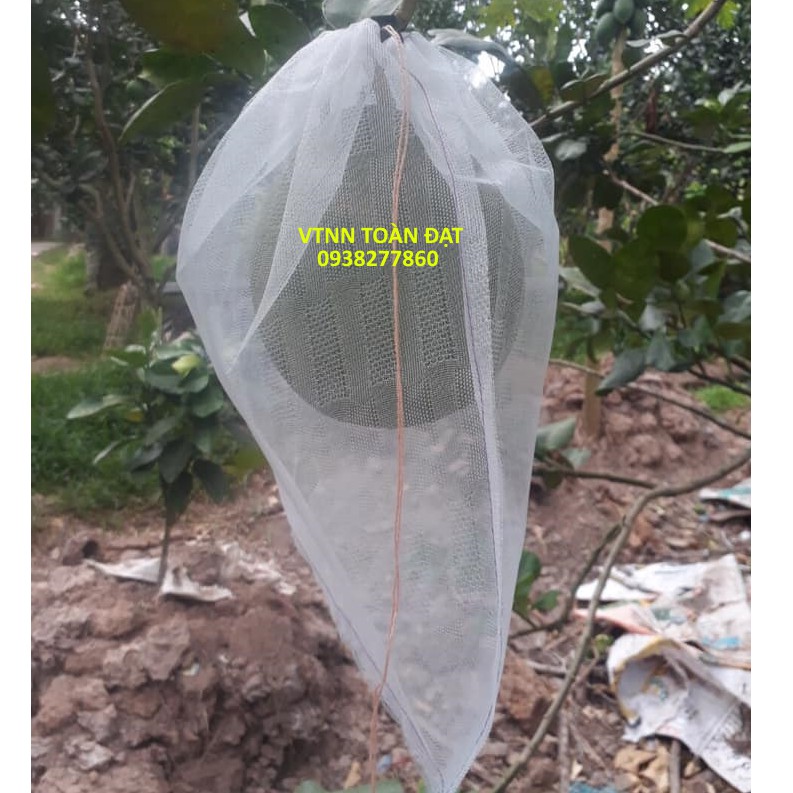 Túi bao trái bưởi - túi bao bưởi 30x35