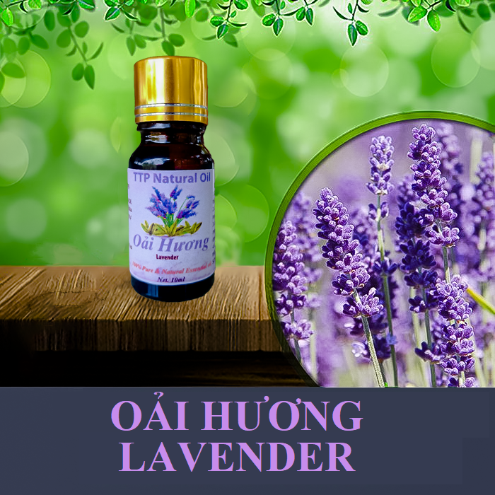 Tinh dầu oải hương Lavender