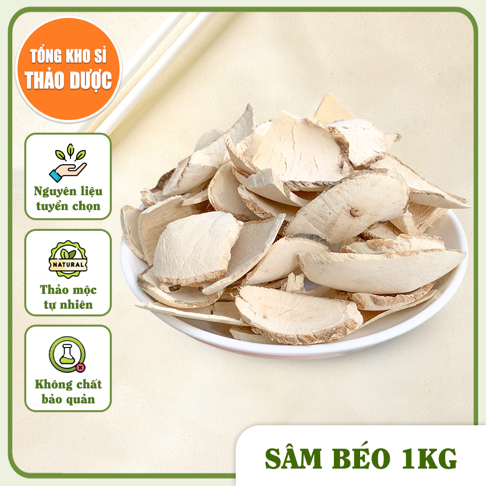 Sâm béo trắng 1kg, trà sâm bổ béo khô, thái lát, hỗ trợ tăng cân, tốt cho sức khỏe, bổ khí huyết