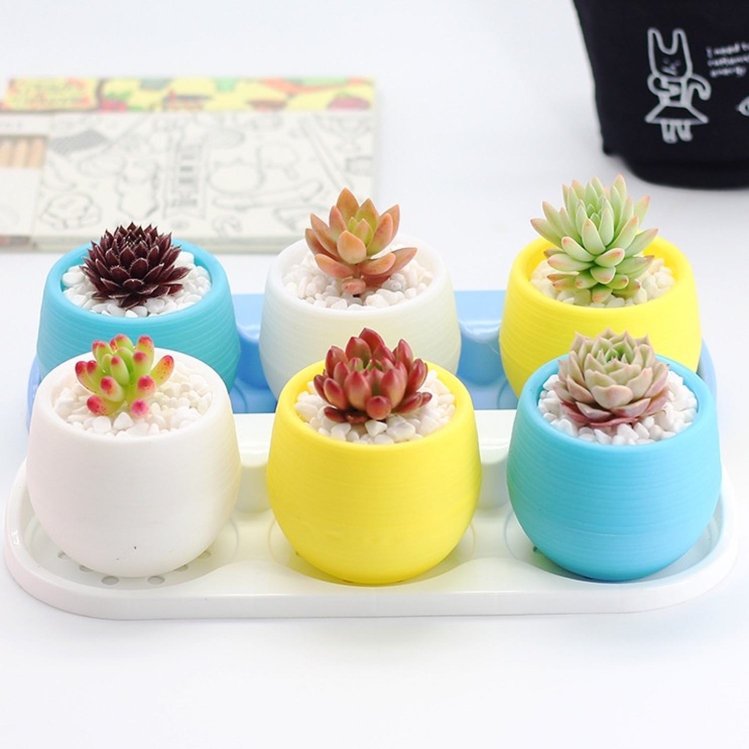 Chậu nhựa thông minh tự dưỡng 2 lớp 🌺 7.5cm 😍 Trồng cây siêu đáng yêu