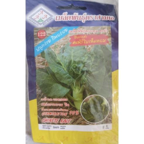 Hạt giống cải rổ thân to thái lan