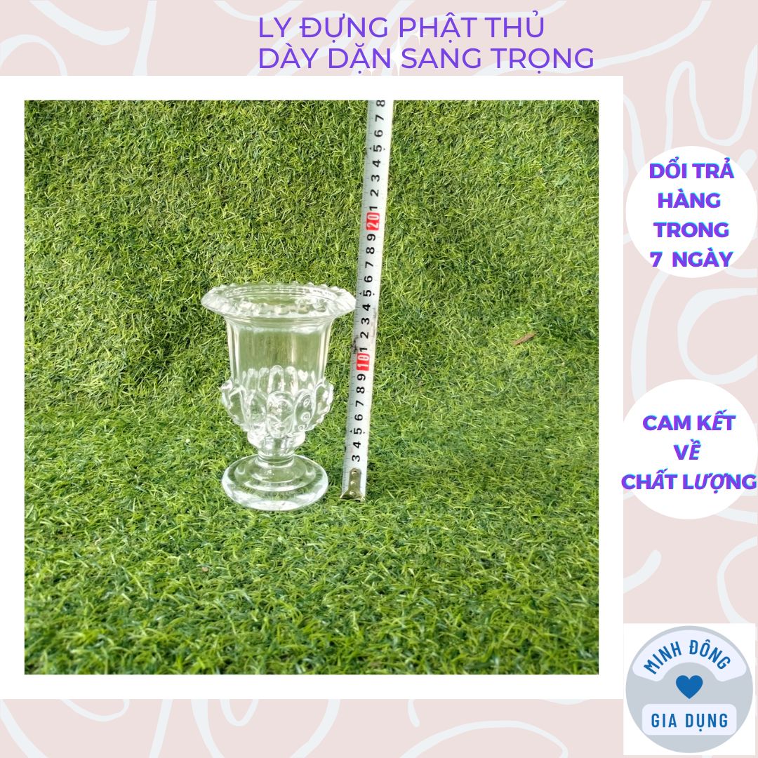 Ly đựng phật thủ cao 15cm, cốc bày phật thủ thuỷ tinh dày dặn có 3 loại 15cm, 20cm 25cm