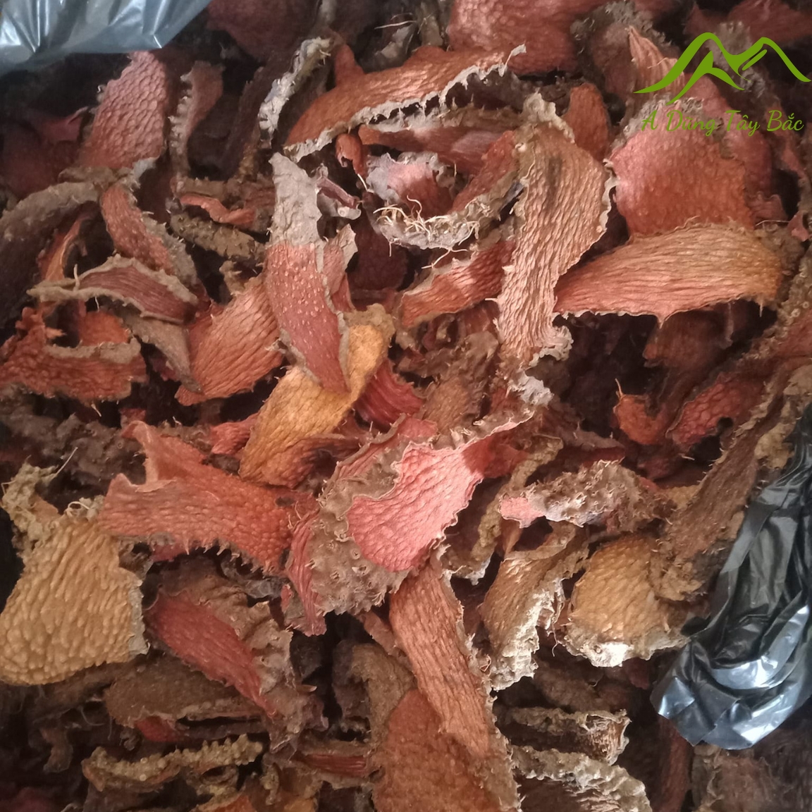 Nhục thung dung rừng ngâm rượu, ngũ gia bì gai sấy khô (500g, 1kg) giúp bổ thận tráng dương, giảm đau lưng