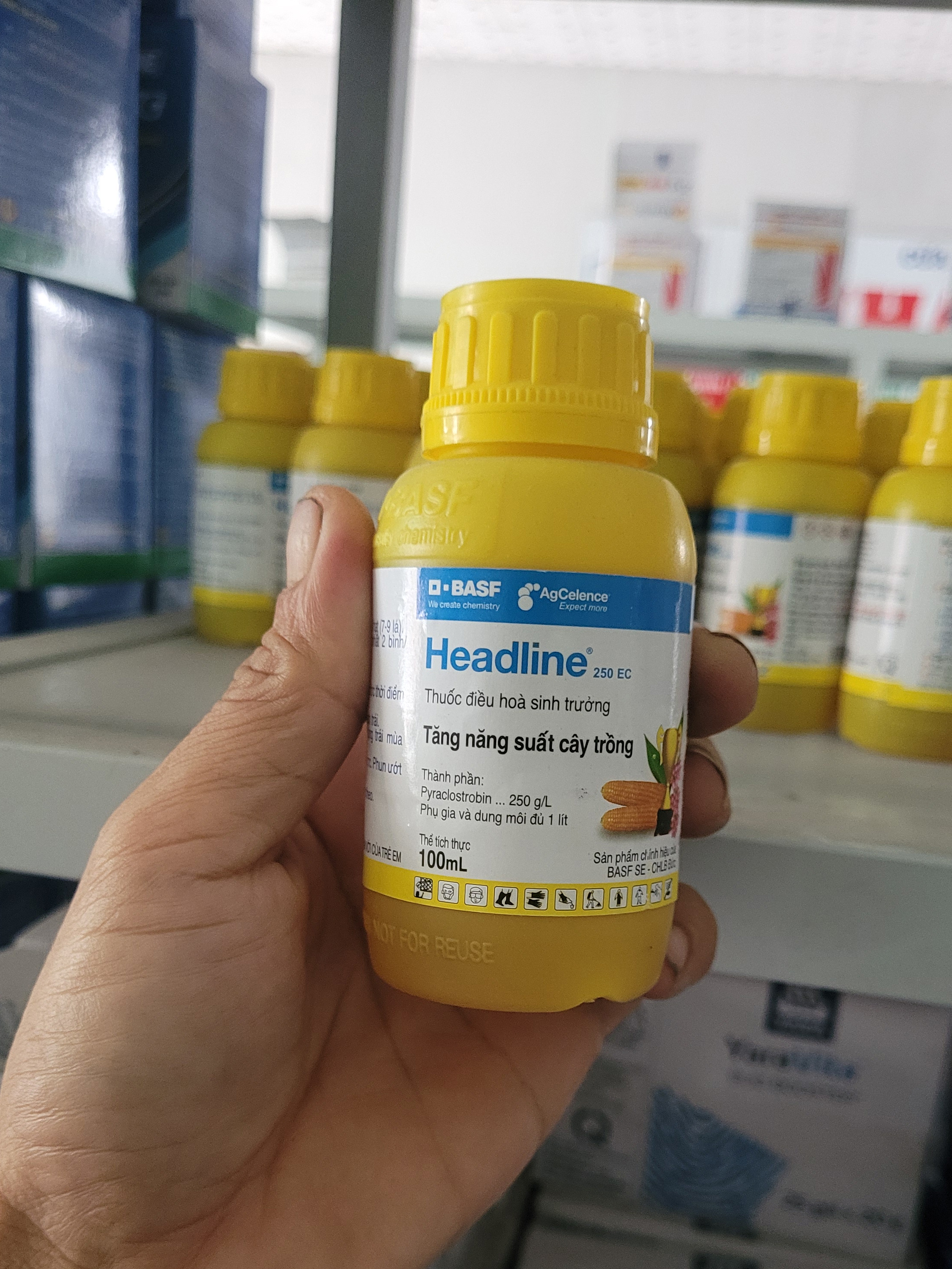 Thuốc điều hòa sinh trưởng headline 250ec chính hãng basf – tăng năng suất cây trồng