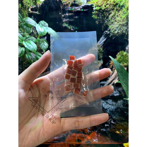 Thức ăn hamster Thịt đỏ vị bò 3k | Chang house hamsters x shop