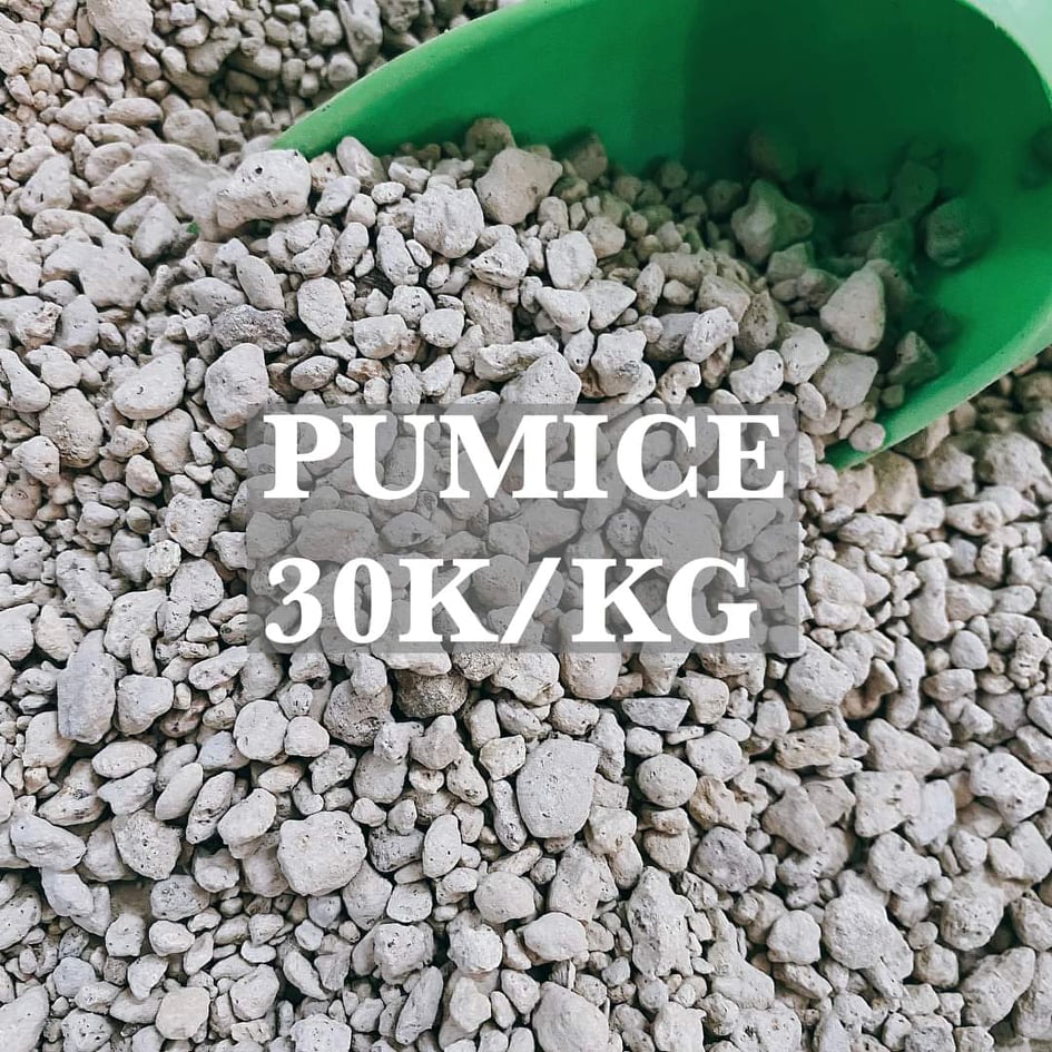 Đá Pumice 1kg (dùng để trộn với đất làm giá thể,hoặc rải lên bề mặt)