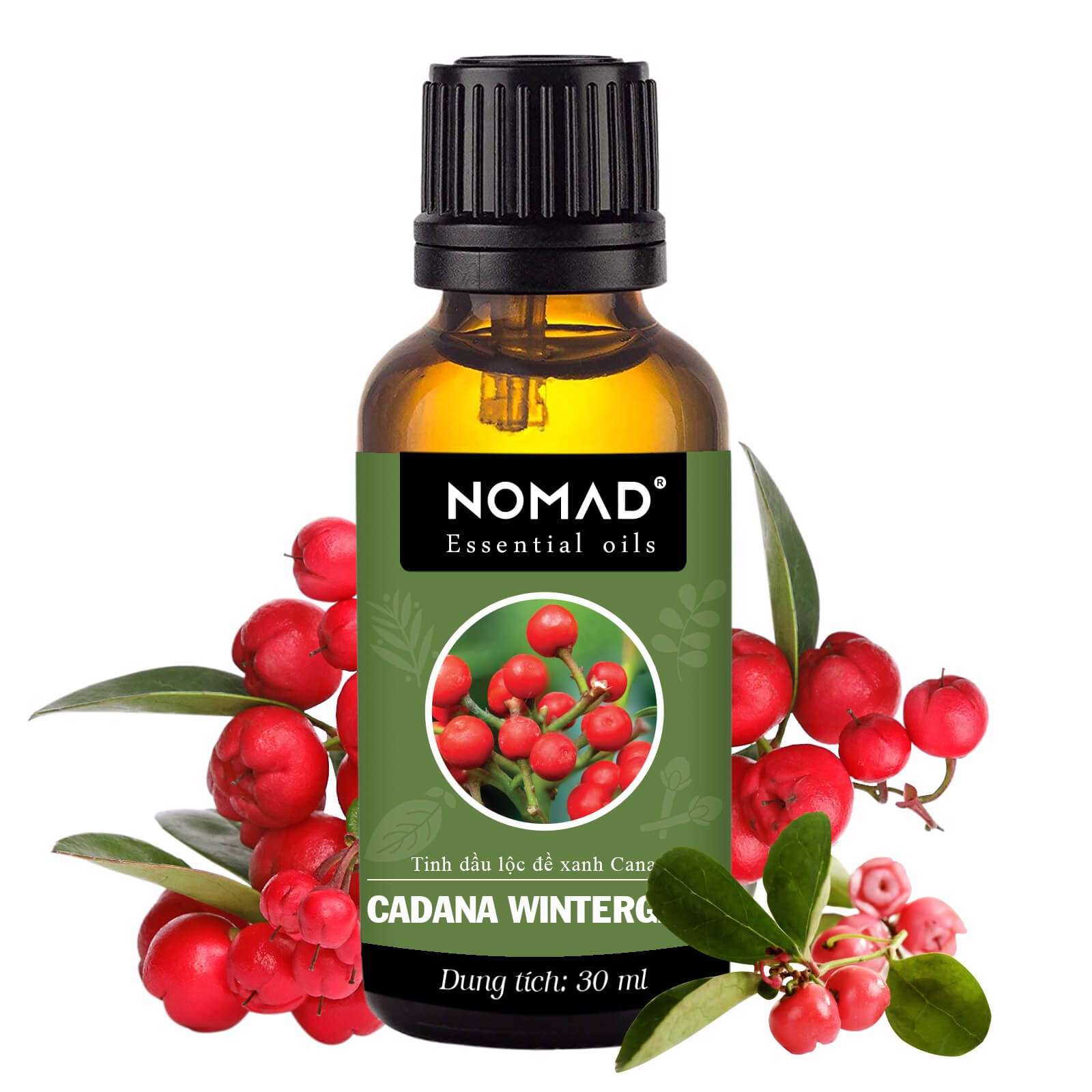 Tinh Dầu Thiên Nhiên Lộc Đề Xanh Nomad Essential Oil Blend - Canada Wintergreen