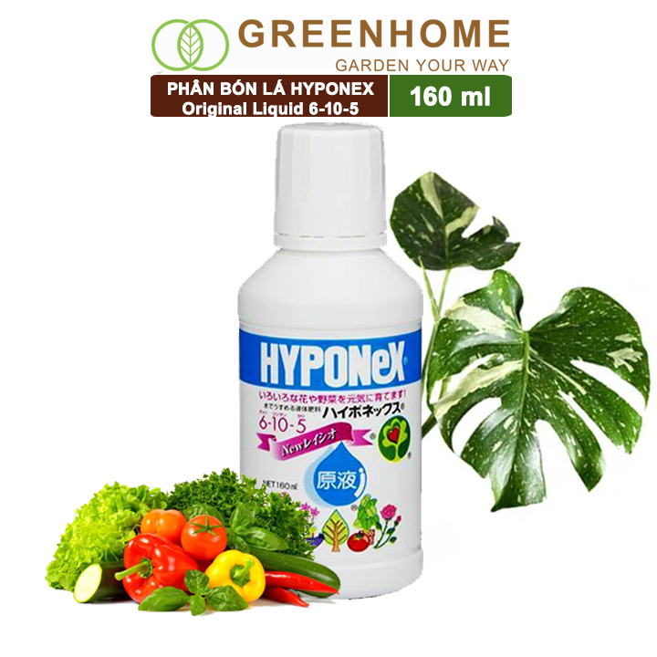 Phân bón lá greenhome hyponex, original liquid 6-10-5, 160ml, cây dễ hấp thụ, á tốt lá cực nhanh, tạo mầm kích nãy chồi