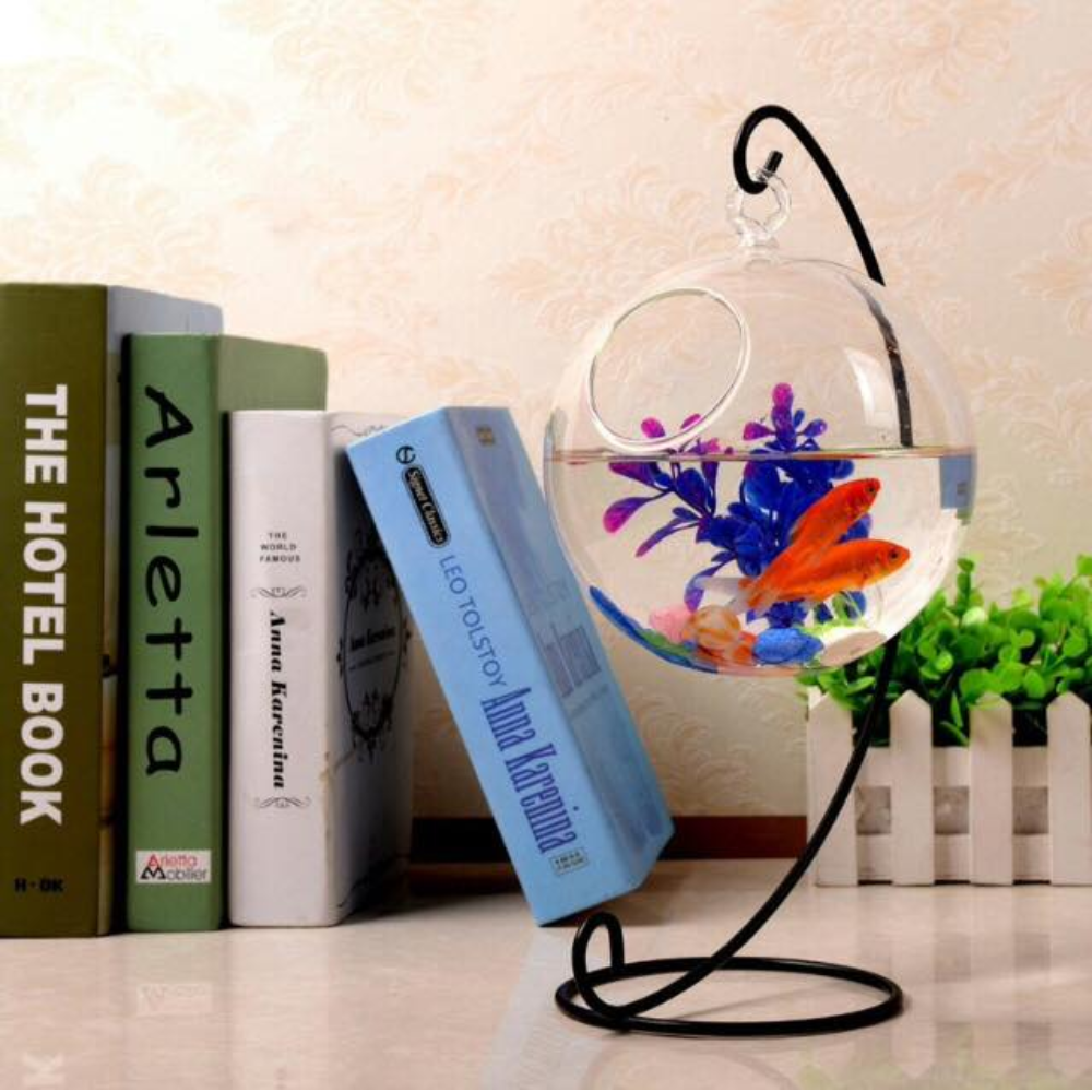Bể cá mini treo khung chữ C để bàn