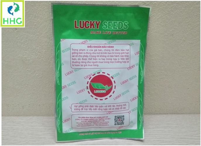 Hạt giống rau mầm đậu hà lan gói 50g