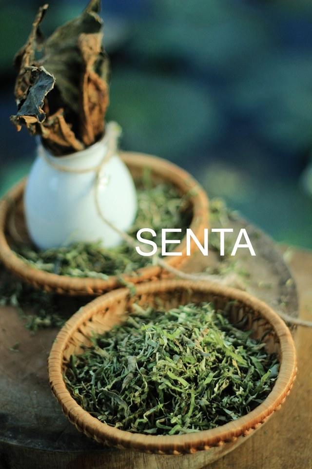 Combo 4 bịch trà lá sen SenTa 250g. Công dụng hạ mỡ máu, giảm mỡ trong cơ thể, hỗ trợ điều trị chứng bệnh béo phì.