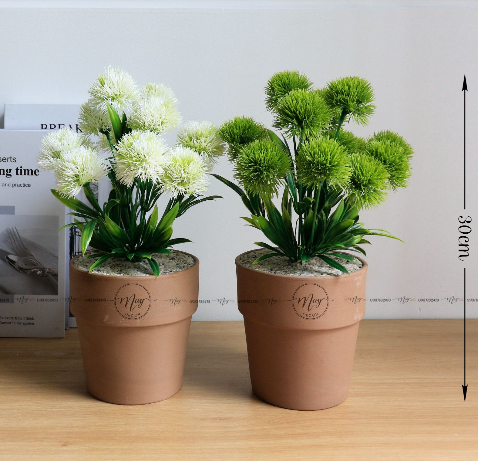  Hoa giả - Chậu hoa cúc pingpong Hoa Wicky  Cẩm Chướng Nhật  sedum trang trí để bàn 