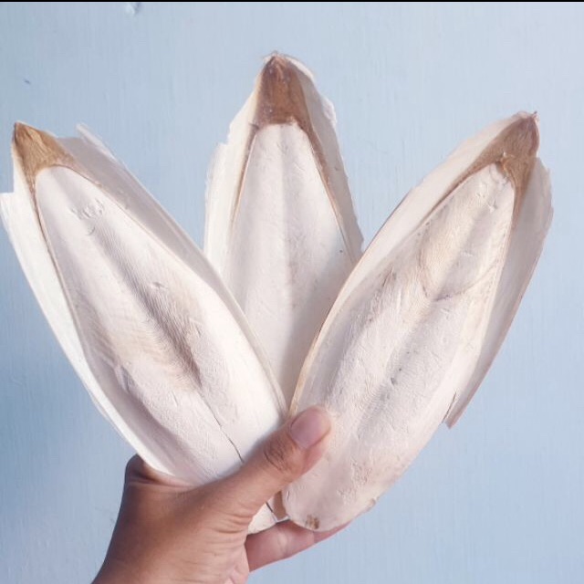Nan mực khô 1kg