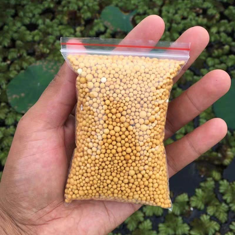 Phân tan chậm cho sen đá, xương rồng. Phân vàng OSMOCOTE (100 gr)