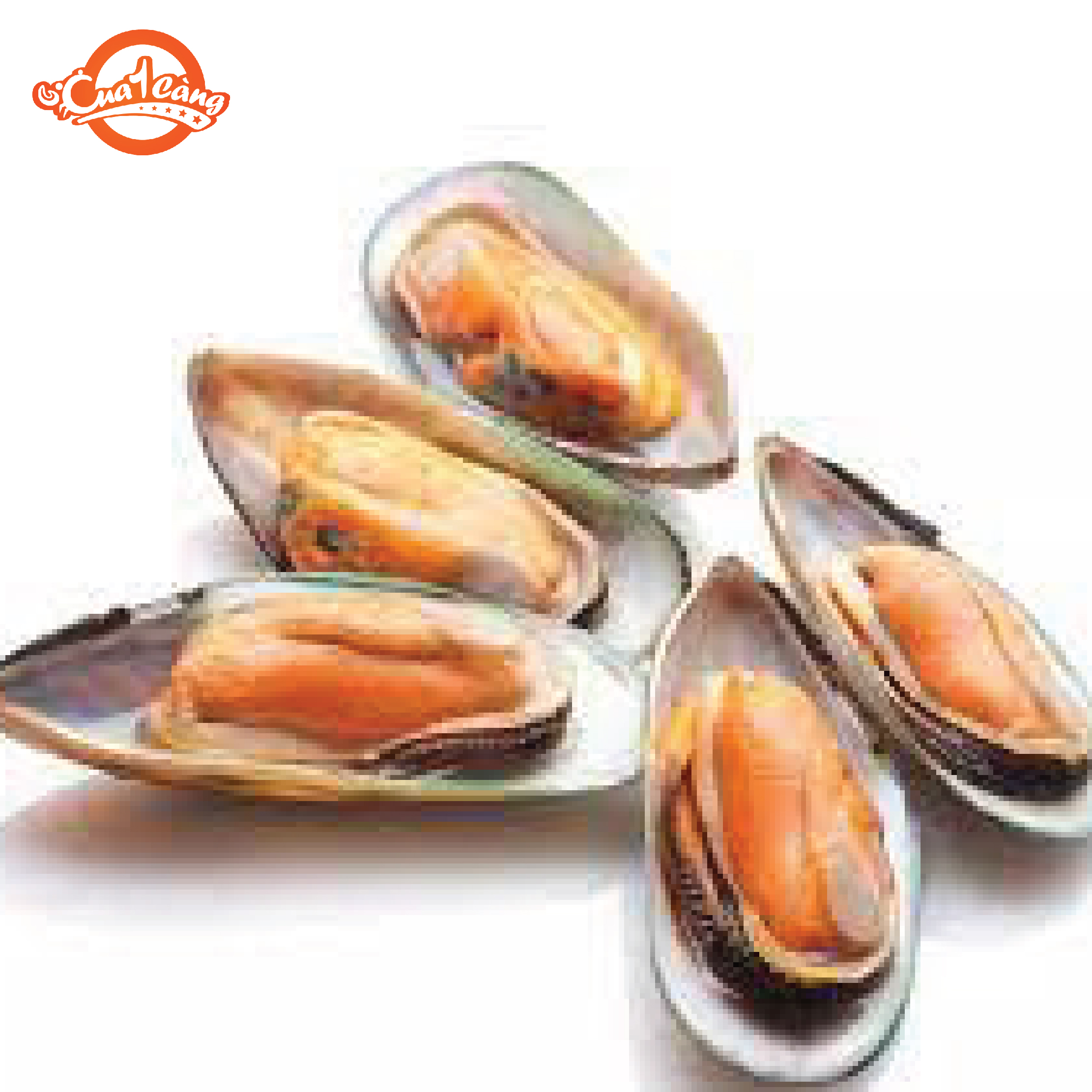 Vẹm xanh NewZeland - giao nhanh 4h