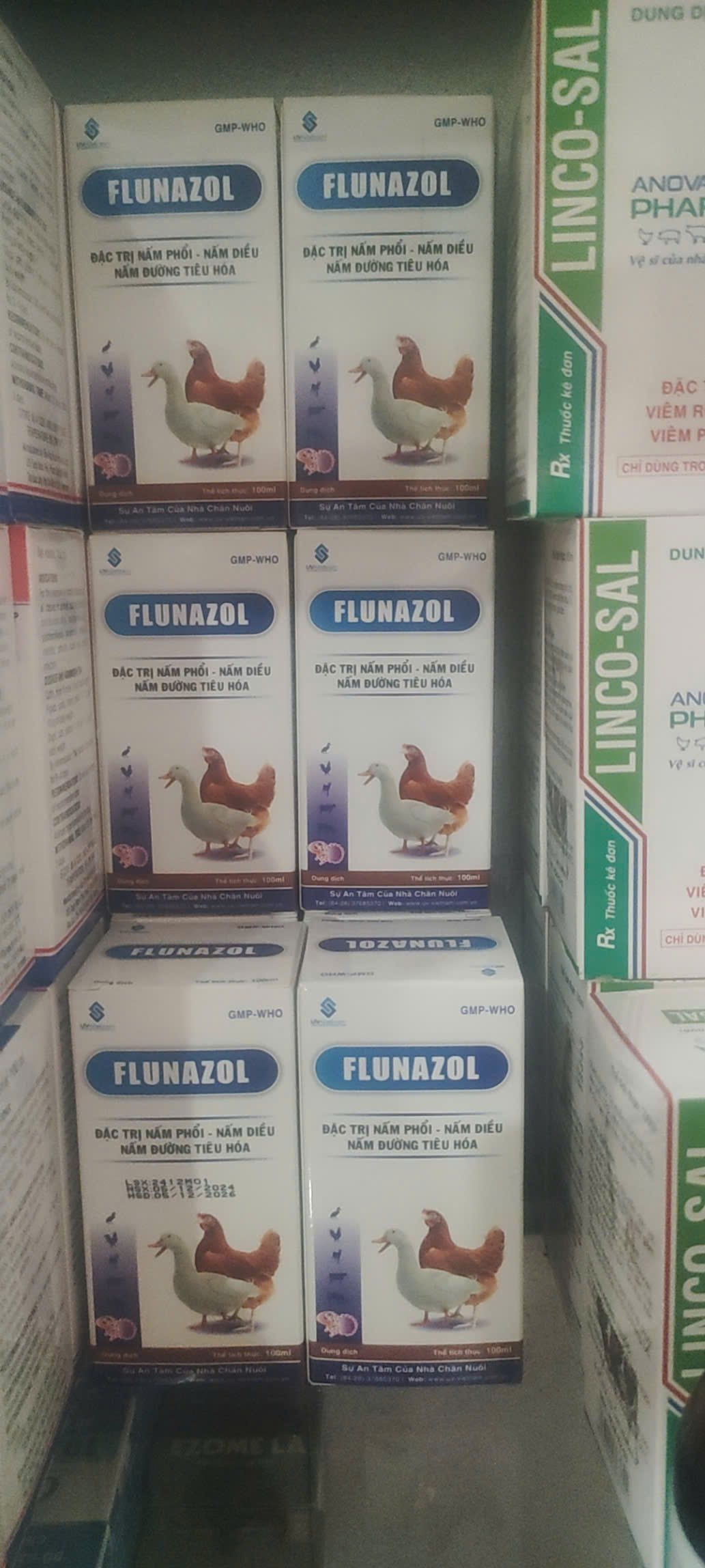Flunazol UV 100ml dung dịch tiêm dùng trong thú y đặc trị nấm phổi, nấm diều, nấm đường tiêu hóa