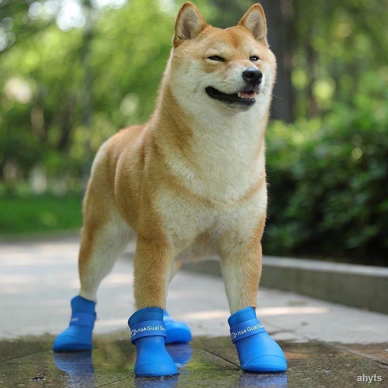 Giày đi mưa cho chó mèo