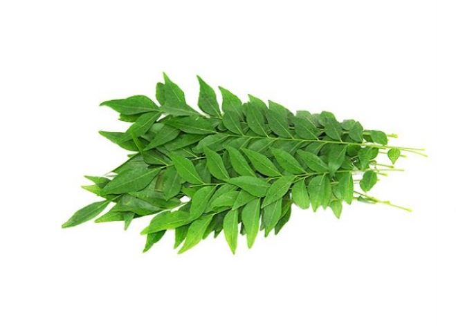 10gr Lá cà ri tươi
