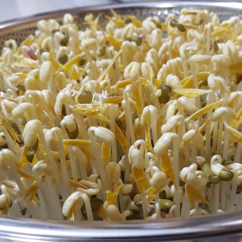 Dụng cụ làm giá bằng inox Phương My