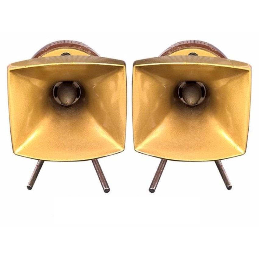 [HCM]Bộ 2 loa treble kèn họng đúc nhôm BX PT6