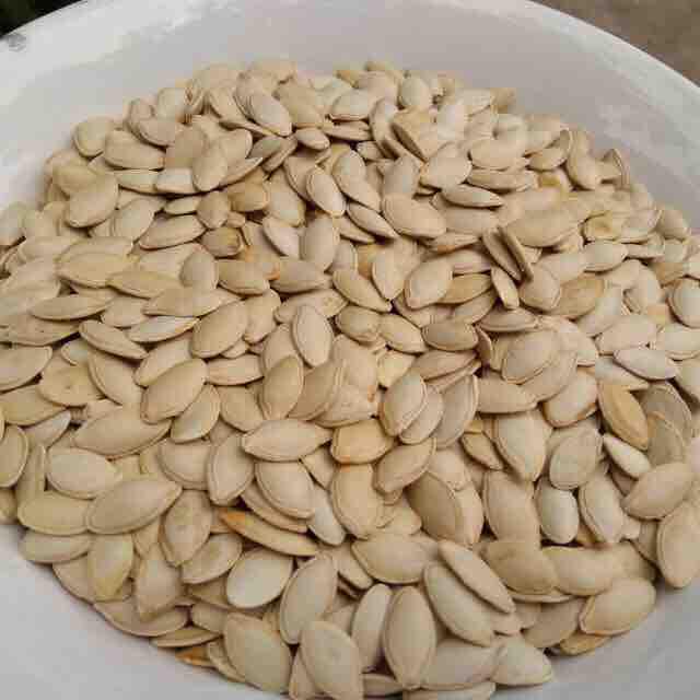 500gr hạt bí rang bếp củi hàng loại ngon