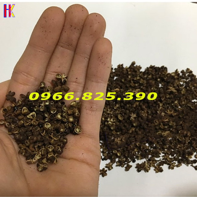 {300g} Hạt Mắc Khén Rừng, Mắc Khén Khô Chuẩn Gia Vị Tây Bắc Được Hút Chân Không Cẩn Thận,Đảm Bảo Vệ Sinh An Toàn Thực Phẩm