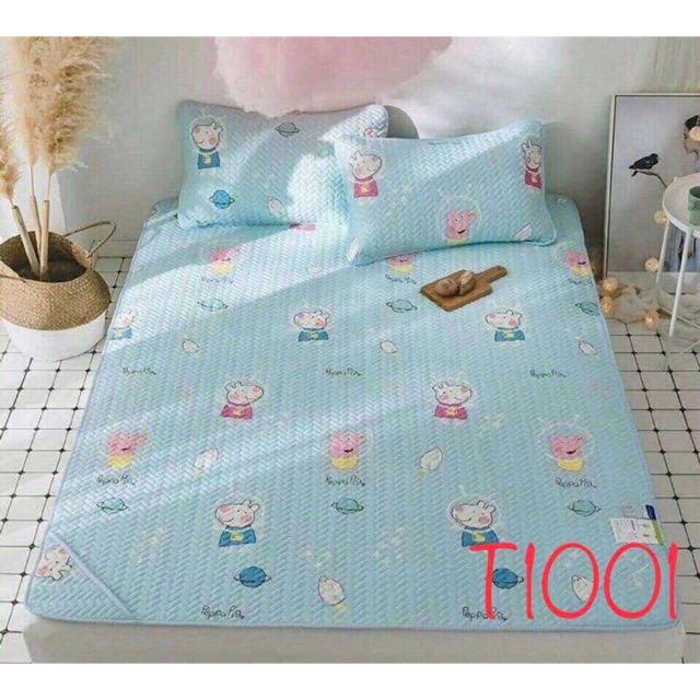 Chiếu điều hoà tencel hàng loại 1