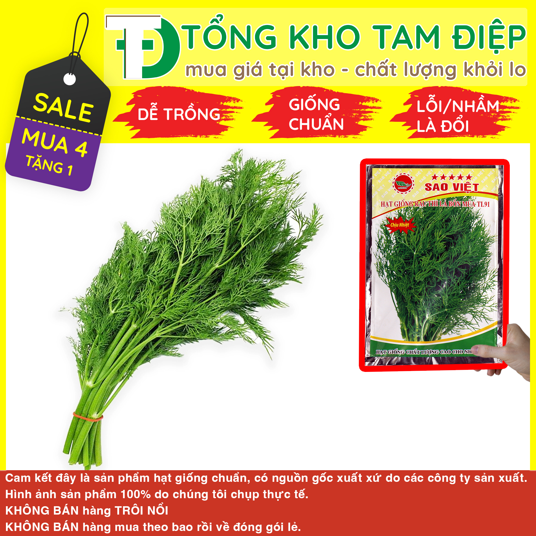 Hạt giống rau thì là bốn mùa TL91 giống chuẩn dễ trồng và chăm sóc