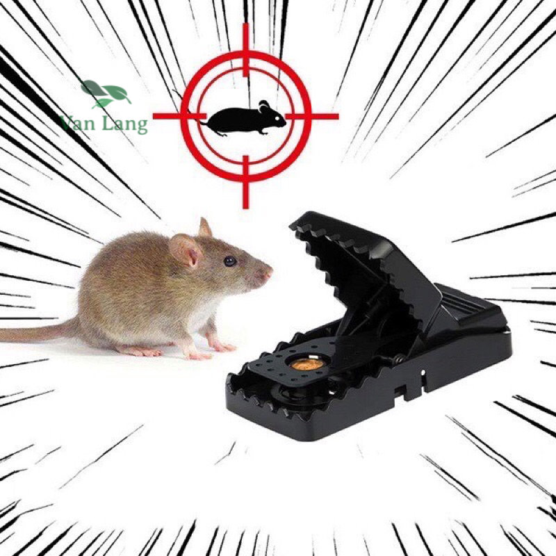 10 bẫy chuột đen thông minh - diệt chuột dễ dàng