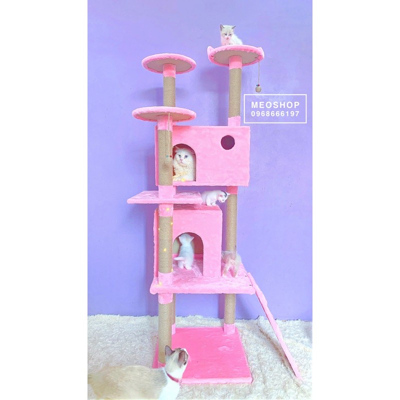 [HOT DEAL] Cattree Khổng Lồ 1m8 😻 FREESHIP 😻 Inbox Shop để được giảm giá