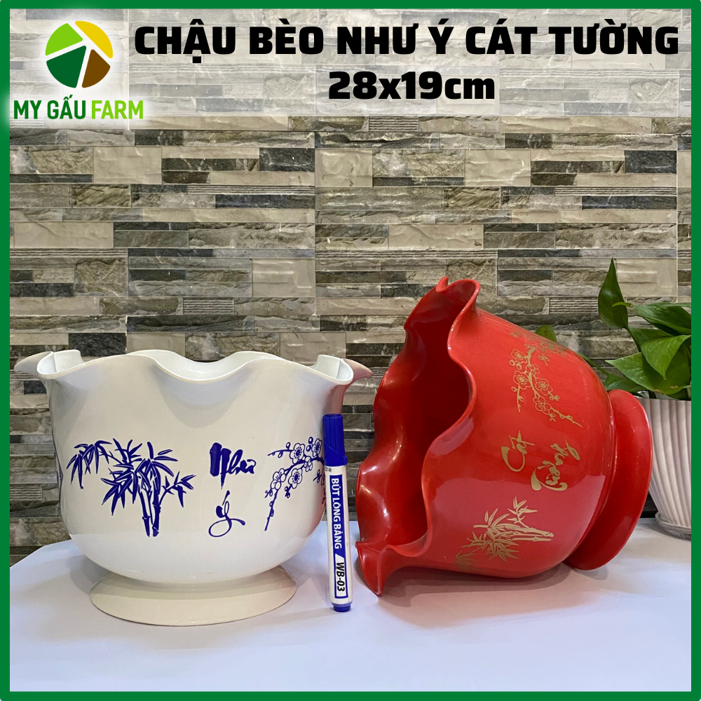 Chậu bèo, chậu ly bèo trắng xanh, đỏ vàng Như Ý Cát Tường size 28-19cm, 22-15cm- Thakico, chậu kiểng, chậu hoa, chậu nhựa, chậu để bàn